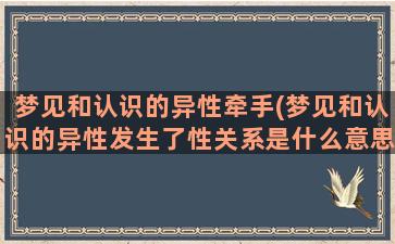 梦见和认识的异性牵手(梦见和认识的异性发生了性关系是什么意思)