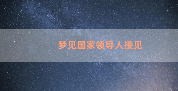 梦见国家领导人接见