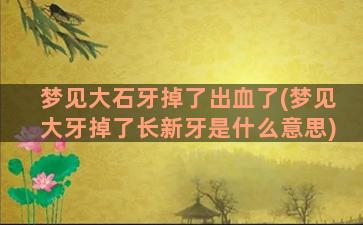 梦见大石牙掉了出血了(梦见大牙掉了长新牙是什么意思)