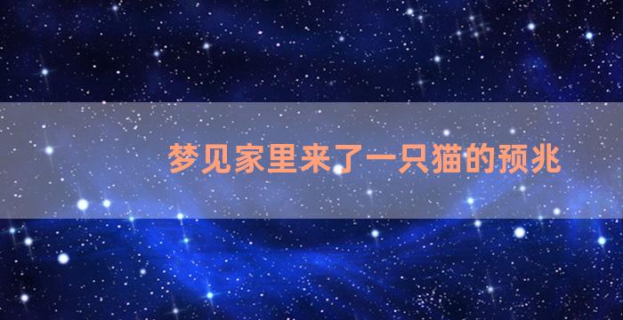 梦见家里来了一只猫的预兆