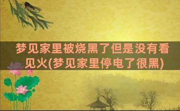 梦见家里被烧黑了但是没有看见火(梦见家里停电了很黑)