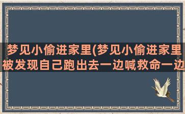 梦见小偷进家里(梦见小偷进家里被发现自己跑出去一边喊救命一边被追)