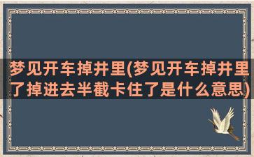 梦见开车掉井里(梦见开车掉井里了掉进去半截卡住了是什么意思)