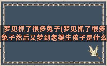 梦见抓了很多兔子(梦见抓了很多兔子然后又梦到老婆生孩子是什么预兆)