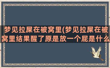 梦见拉屎在被窝里(梦见拉屎在被窝里结果醒了原是放一个屁是什么意思)