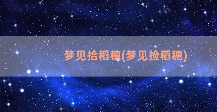 梦见拾稻穗(梦见捡稻穗)