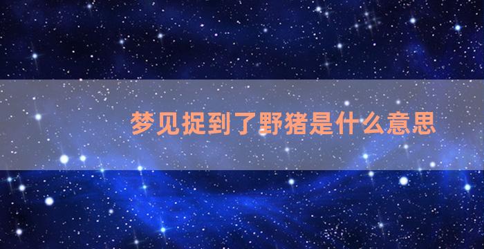 梦见捉到了野猪是什么意思