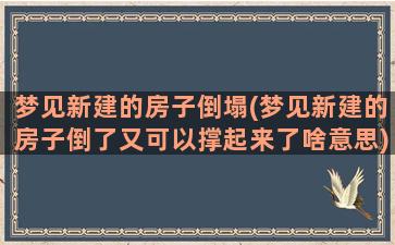 梦见新建的房子倒塌(梦见新建的房子倒了又可以撑起来了啥意思)