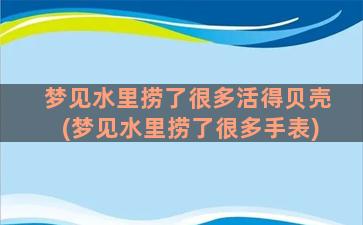 梦见水里捞了很多活得贝壳(梦见水里捞了很多手表)