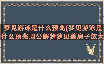 梦见游泳是什么预兆(梦见游泳是什么预兆周公解梦梦见盖房子放大梁)