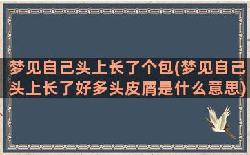 梦见自己头上长了个包(梦见自己头上长了好多头皮屑是什么意思)