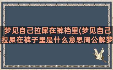 梦见自己拉屎在裤裆里(梦见自己拉屎在裤子里是什么意思周公解梦)