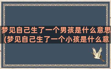 梦见自己生了一个男孩是什么意思(梦见自己生了一个小孩是什么意思)