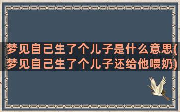 梦见自己生了个儿子是什么意思(梦见自己生了个儿子还给他喂奶)