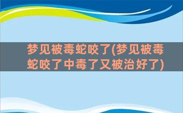 梦见被毒蛇咬了(梦见被毒蛇咬了中毒了又被治好了)