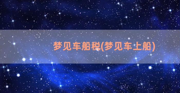 梦见车船税(梦见车上船)