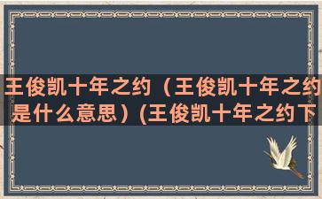 王俊凯十年之约（王俊凯十年之约是什么意思）(王俊凯十年之约下一句话)