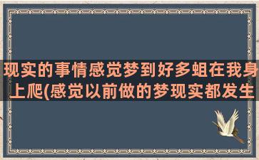 现实的事情感觉梦到好多蛆在我身上爬(感觉以前做的梦现实都发生了)