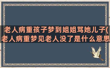 老人病重孩子梦到姐姐骂她儿子(老人病重梦见老人没了是什么意思)