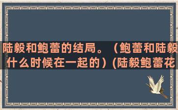 陆毅和鲍蕾的结局。（鲍蕾和陆毅什么时候在一起的）(陆毅鲍蕾花样的年华结局)